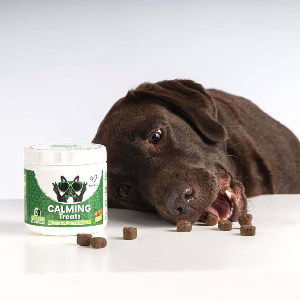 Stress & Scratch Kit - Image 9
