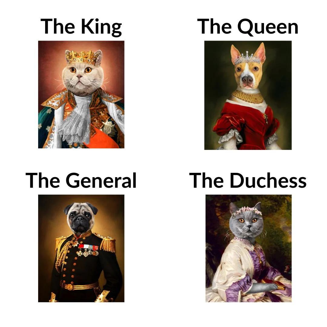 The General - Renaissance Pet Portrait - Image 10