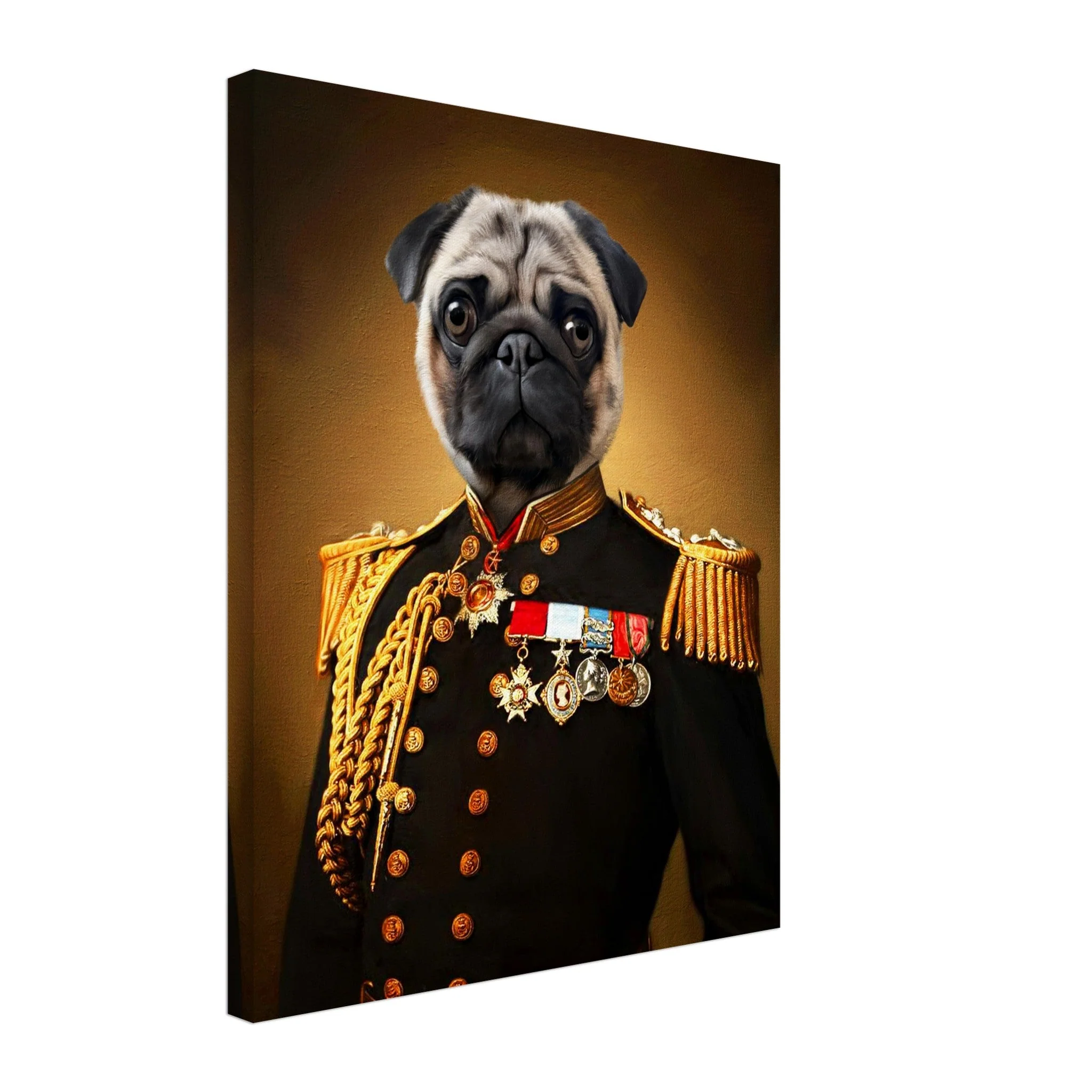 The General - Renaissance Pet Portrait - Image 5