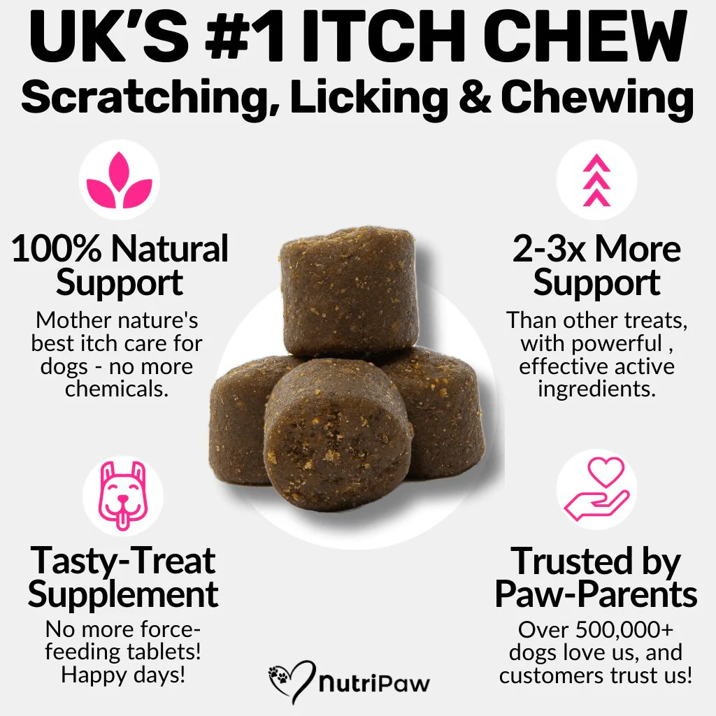 Vegan All-Itch - Image 3